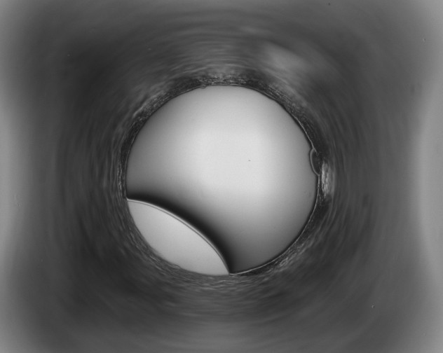X0000085261107200703090849