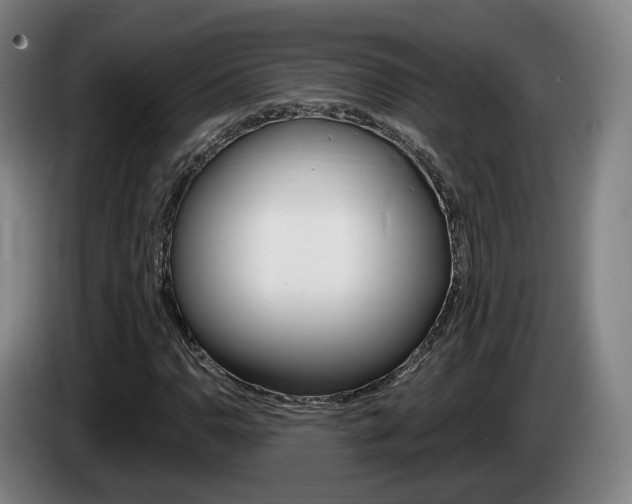 X0000085261110200703090849