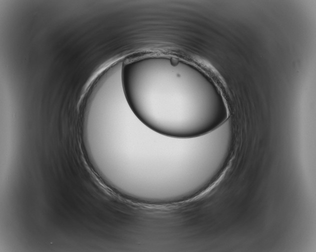 X0000085261114200703090849
