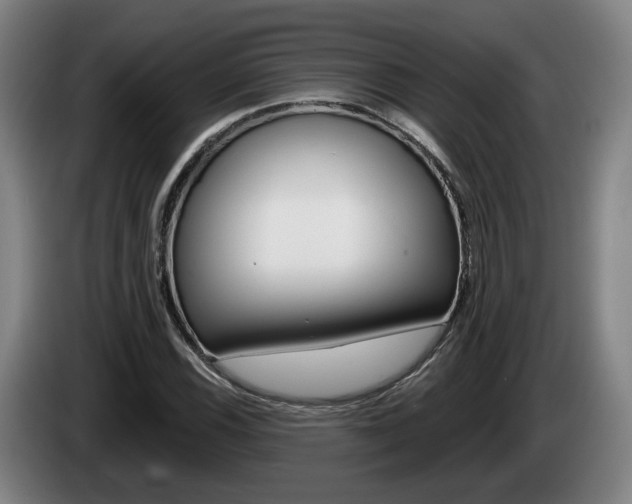 X0000085261116200703090849