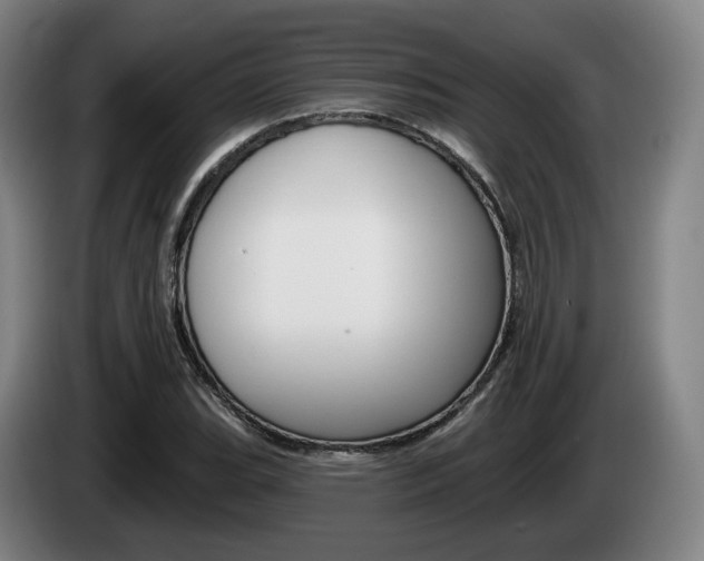 X0000085261119200703090849