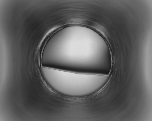 X0000085261123200703090849