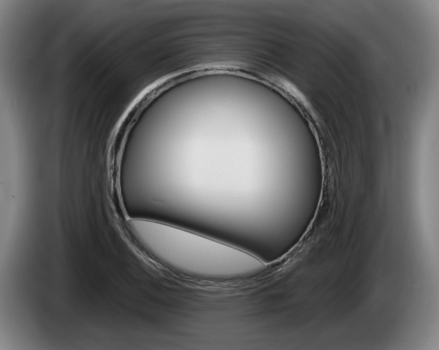 X0000085261124200703090849