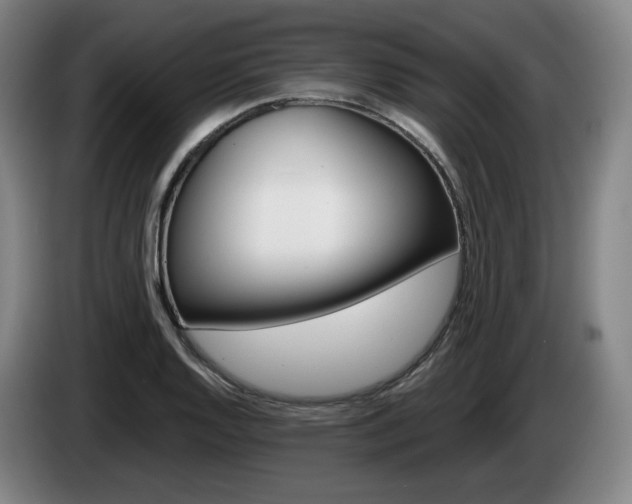 X0000085261128200703090849