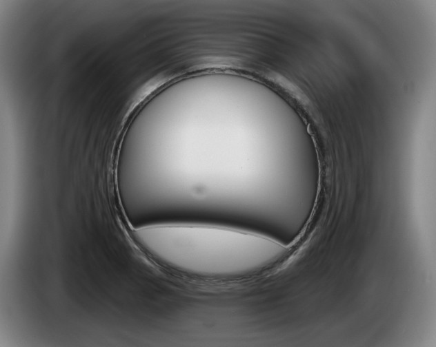 X0000085261129200703090849