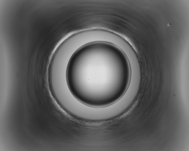X0000085261134200703090849