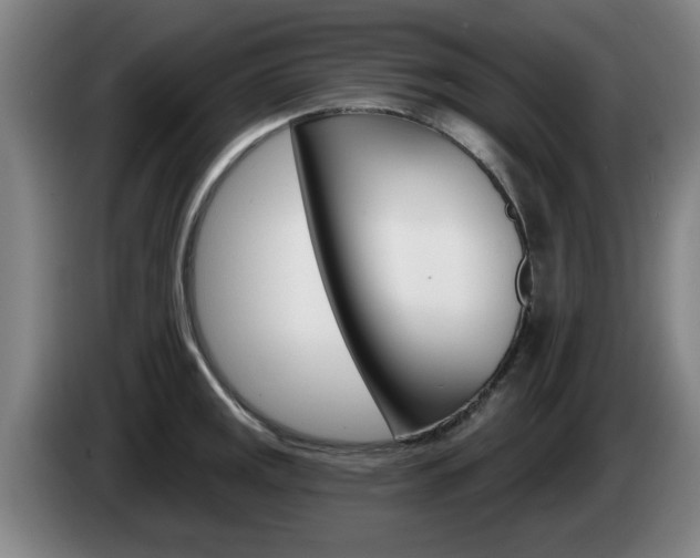 X0000085261141200703090849