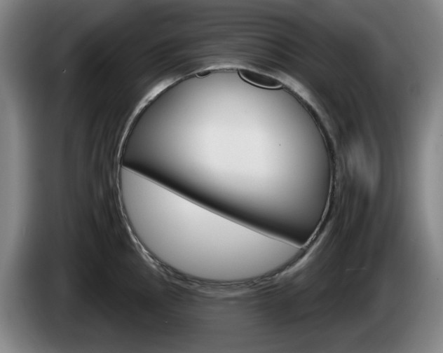 X0000085261145200703090849
