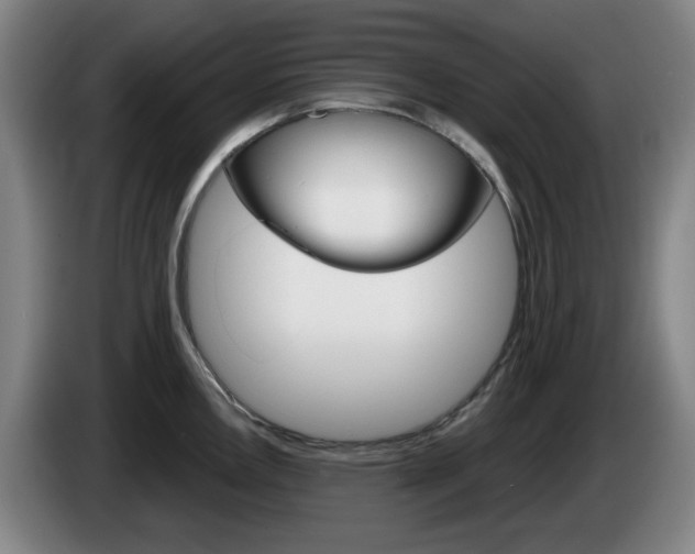 X0000085261146200703090849