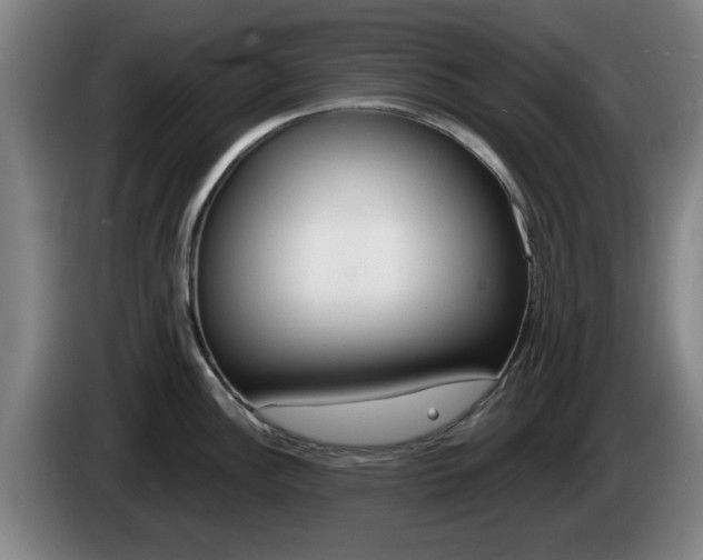 X0000085261148200703090849