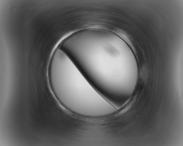 X0000085261149200703090849