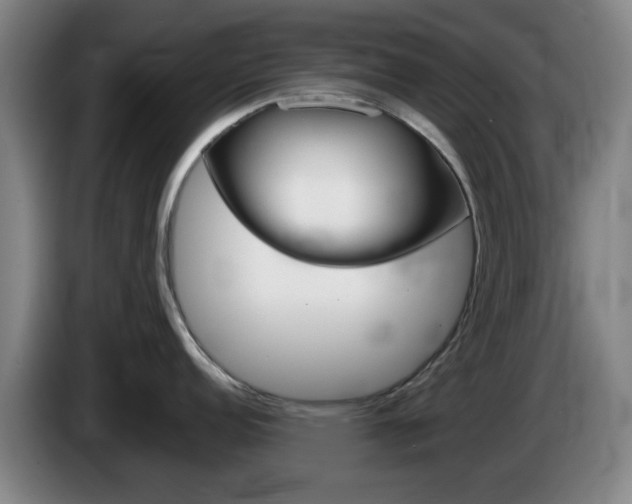 X0000085261152200703090849