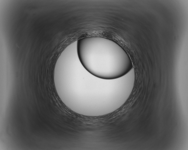 X0000085261153200703090849