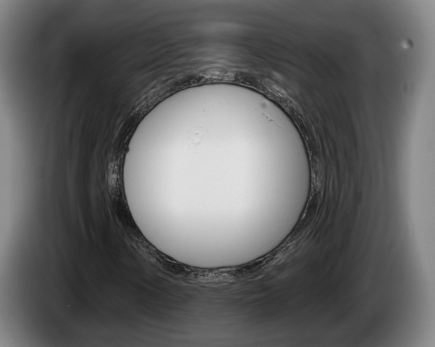 X0000085261154200703090849