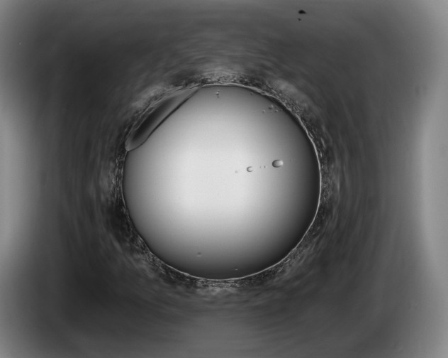 X0000085261157200703090849