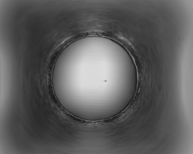 X0000085261159200703090849