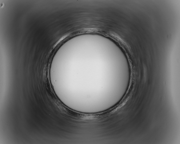 X0000085261162200703090849