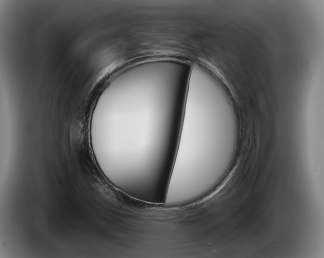 X0000085261163200703090849