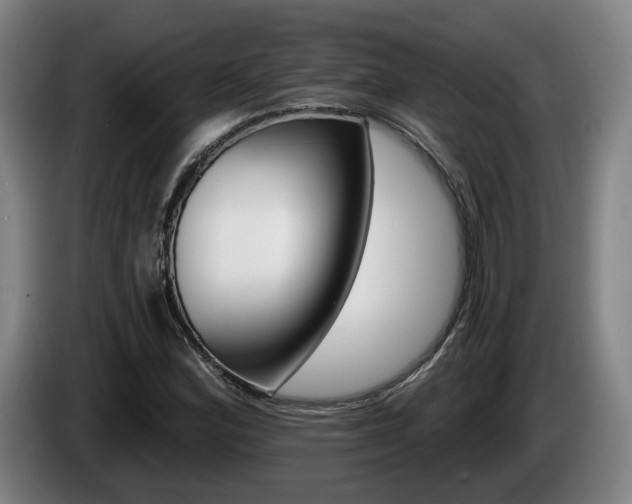 X0000085261164200703090849