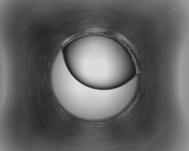 X0000085261169200703090849