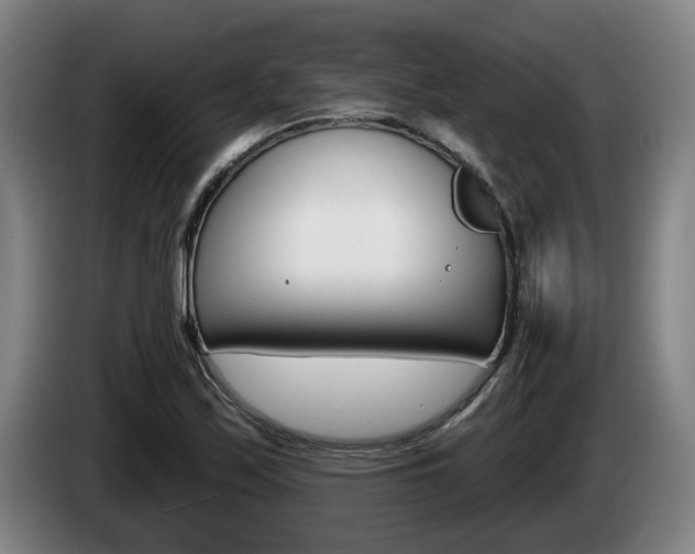 X0000085261171200703090848