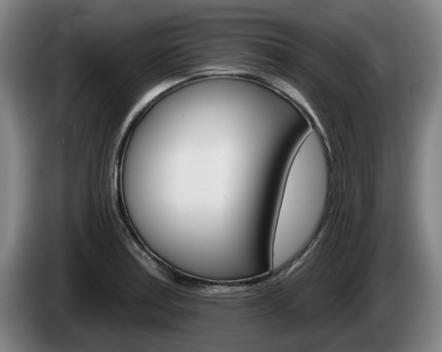 X0000085261179200703090848