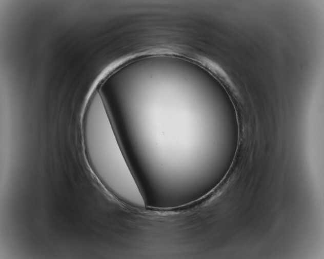X0000085261184200703090848