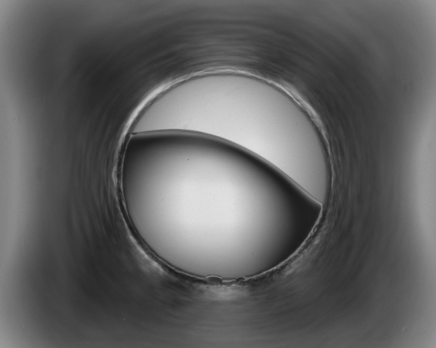 X0000085261189200703090848