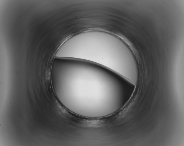 X0000085261193200703090848