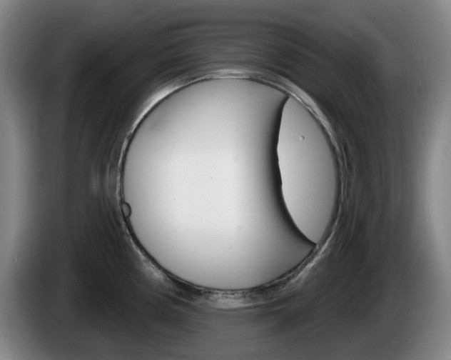 X0000085261194200703090848