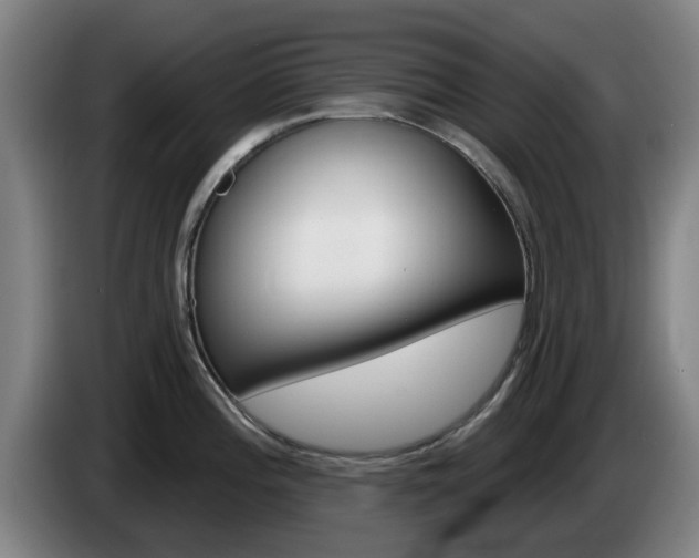 X0000085261196200703090848