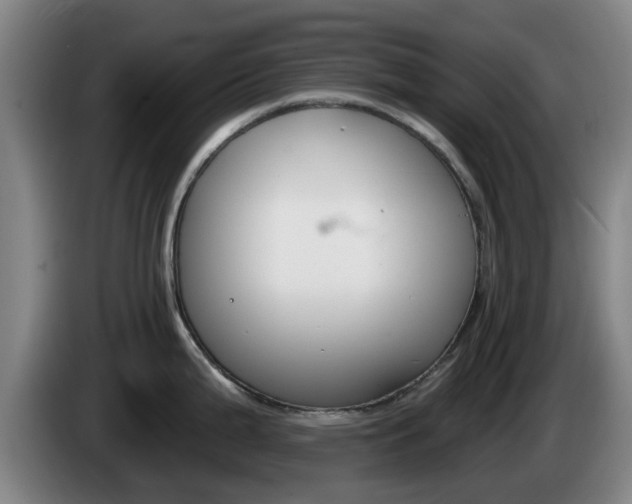 X0000085261199200703090848