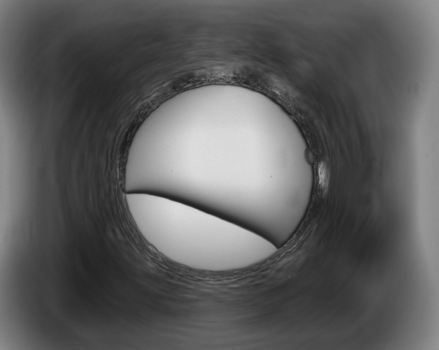 X0000085261203200703090847