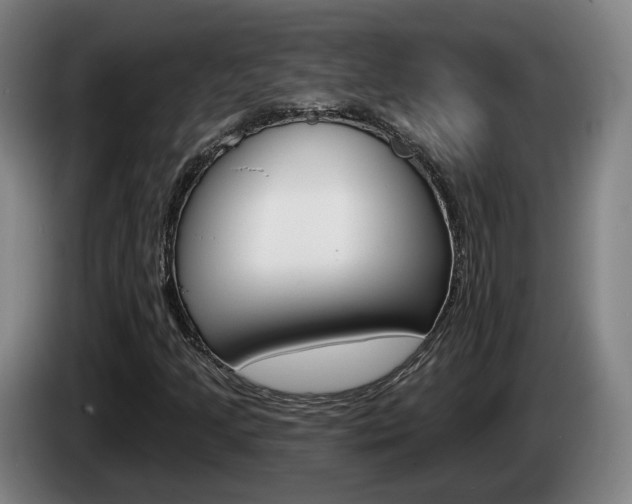 X0000085261205200703090847