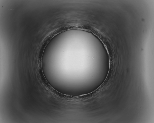 X0000085261206200703090847