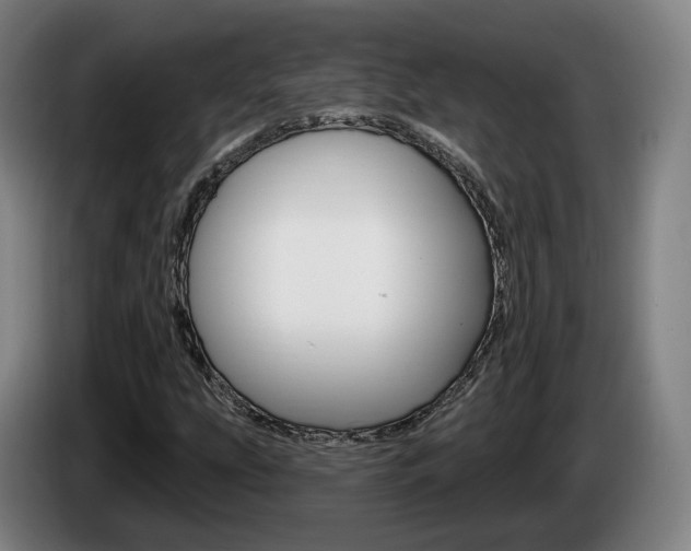 X0000085261207200703090847