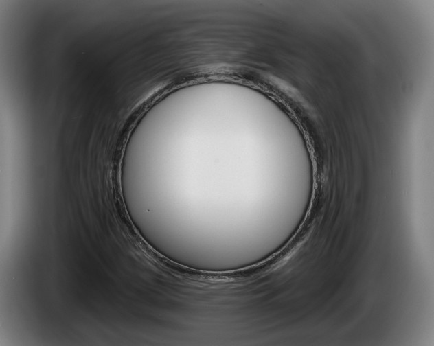 X0000085261209200703090847