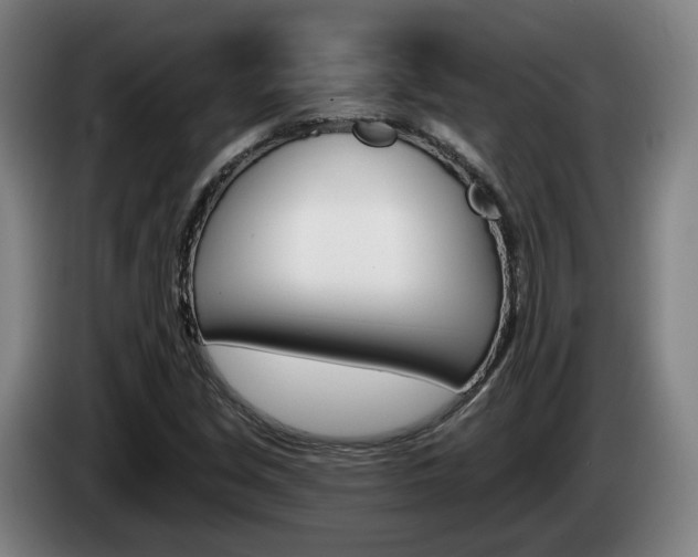 X0000085261213200703090847