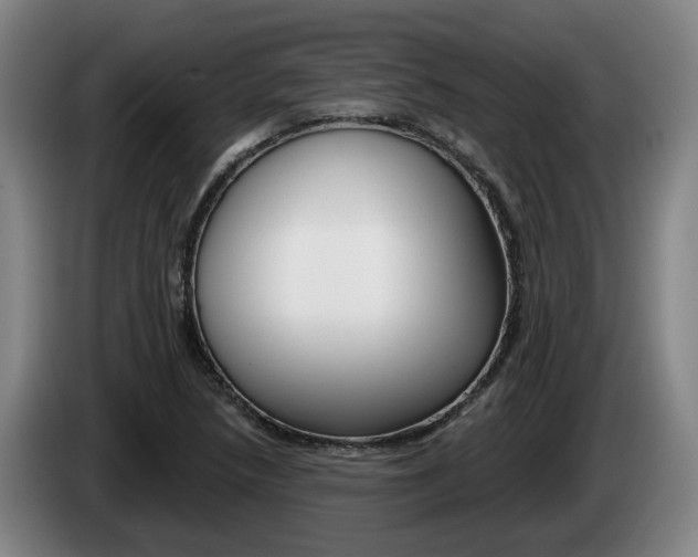X0000085261218200703090847