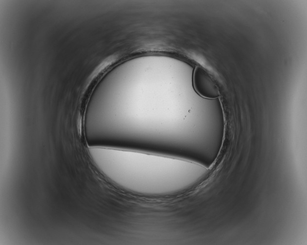 X0000085261221200703090847