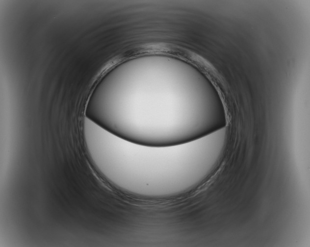 X0000085261225200703090848