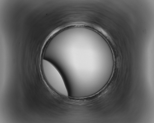 X0000085261229200703090848