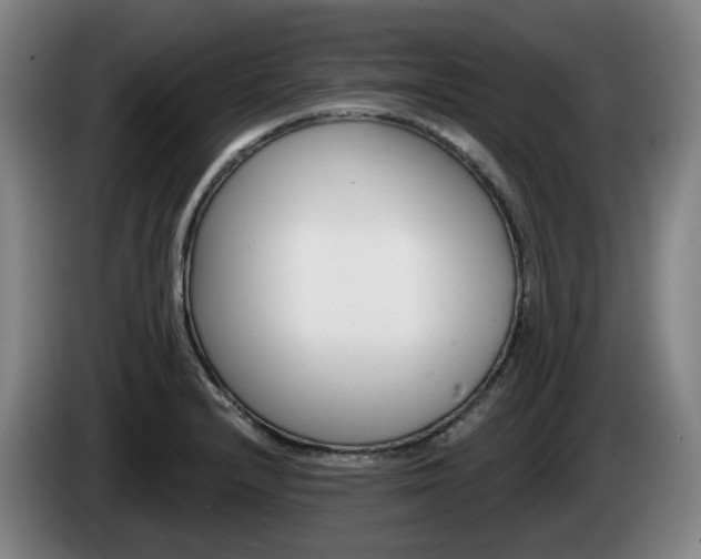 X0000085261232200703090848