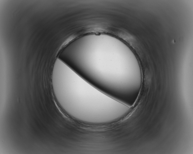 X0000085261233200703090848