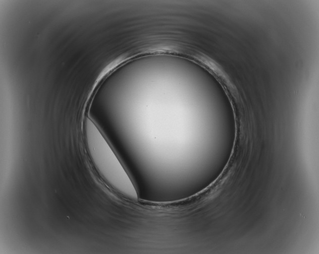 X0000085261234200703090848