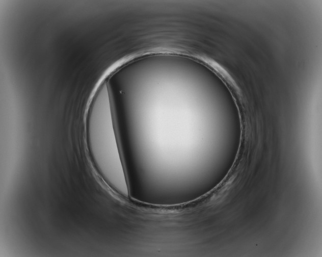 X0000085261238200703090848
