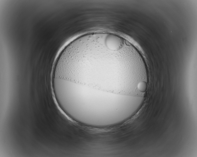 X0000085261239200703090848