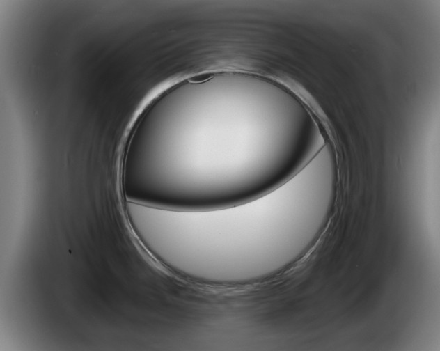 X0000085261246200703090848