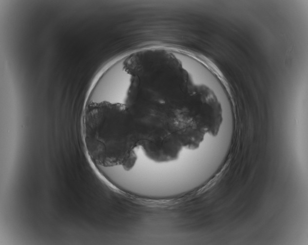 X0000085261247200703090848
