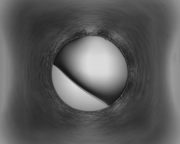X0000085261249200703090847